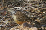 photo thumbnail #3