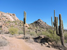 photo thumbnail #2