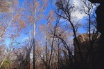 photo thumbnail #14
