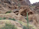 photo thumbnail #11