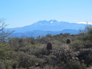 photo thumbnail #2