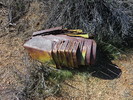 photo thumbnail #6