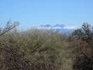 photo thumbnail #9