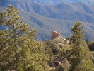 photo thumbnail #6