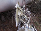 photo thumbnail #11