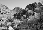 photo thumbnail #7