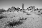 photo thumbnail #11