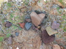 photo thumbnail #8