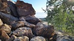 photo thumbnail #2