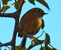photo thumbnail #6