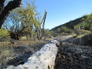 photo thumbnail #1