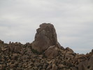 photo thumbnail #1