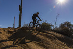 photo thumbnail #4