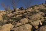 photo thumbnail #8