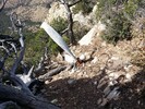 photo thumbnail #12