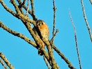 photo thumbnail #4
