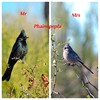 photo thumbnail #12