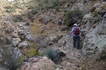 photo thumbnail #4