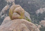 photo thumbnail #9