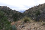 photo thumbnail #11