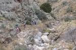 photo thumbnail #12