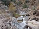 photo thumbnail #13