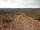 photo thumbnail #2