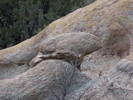 photo thumbnail #8