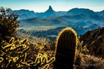 photo thumbnail #7