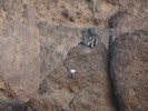 photo thumbnail #11