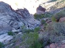 photo thumbnail #5