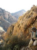 photo thumbnail #13