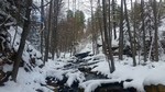 photo thumbnail #3