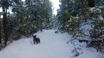 photo thumbnail #4
