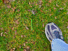 photo thumbnail #10