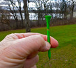 photo thumbnail #11