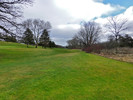 photo thumbnail #13