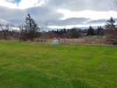 photo thumbnail #14