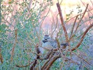 photo thumbnail #15