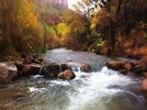 photo thumbnail #5