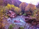 photo thumbnail #6