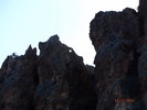 photo thumbnail #15