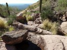 photo thumbnail #5
