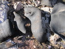 photo thumbnail #4