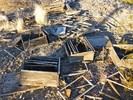photo thumbnail #6