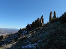 photo thumbnail #5