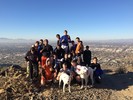 photo thumbnail #5