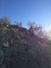 photo thumbnail #6
