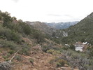 photo thumbnail #2