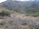 photo thumbnail #4